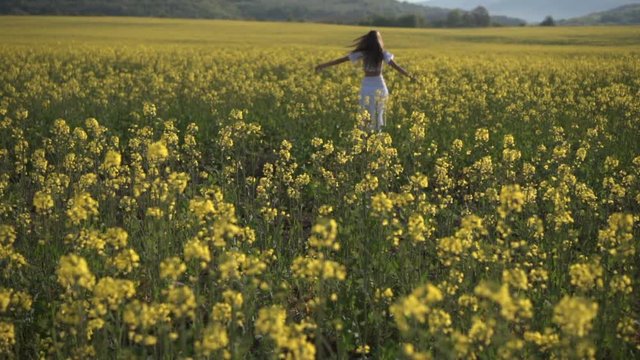 Happy girl walking on the rape field, steadicam shot, slow motion shot