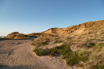 Fototapeta na wymiar Hiking Path to the Red Cliff at Sylt / Germany