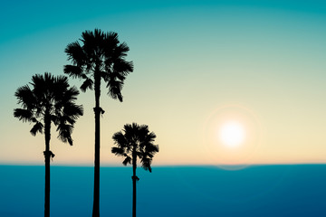Obraz na płótnie Canvas Palm trees sunset .Tropical horizon abstract background