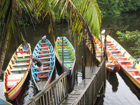pirogues guyane
