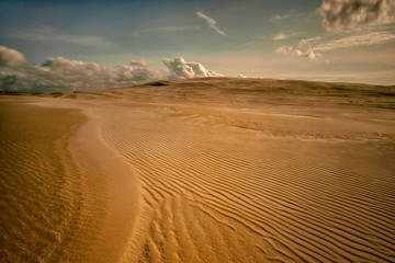 Fototapeta na wymiar Moving sand dunes, Slowinski National Park, Leba, Poland