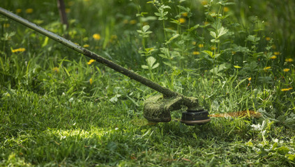 lawnmower with mowing trimmer mows the lawn