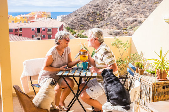 Couple Of Aged Senior Gentlemen And Lady Drink Together Fruit Juice On Rooftop Terrace Wih Two Funny Pug Dog Under The Sunlight. Amazing Ocean View For Great Retired Lifestyle Concept