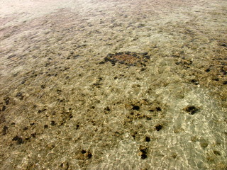 Lichtspiele auf der Wasseroberfläche im seichten Wasser im Sommer bei Sonnenschein in der Bucht...