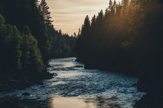 Ein Fluss fliesst im Sonnenuntergang ruhig zwischen den B&auml;umen Richtung Meer