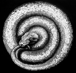 Naklejka premium Oil painting, snake, handmade