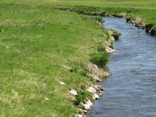 Bach in der grünen Wiese