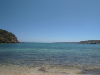 Jaboncillo  Beach  Dry Forest Guanica Puerto Rico