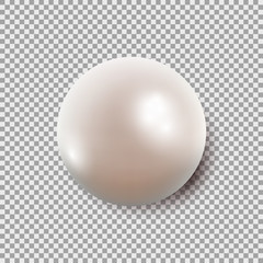 Vector illustration of single shiny natural white sea pearl with light effects isolated on transparent background.