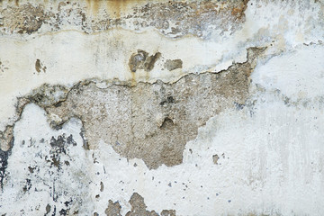 Old Damaged Plaster Wall Texture