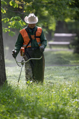 lawnmower with mowing trimmer mows the lawn