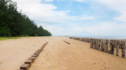 Beach Sand Landscape