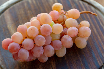 Brunch of ripe pink table grapes