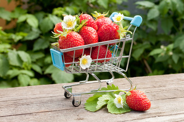 Fruity shopping cart full of strawberries cherries. Farmers harvest on greenery landscape background