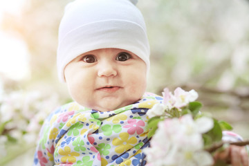 Cute little baby in a garden of blooming apple trees, with instagram style filter