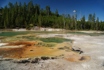 Yellowstone