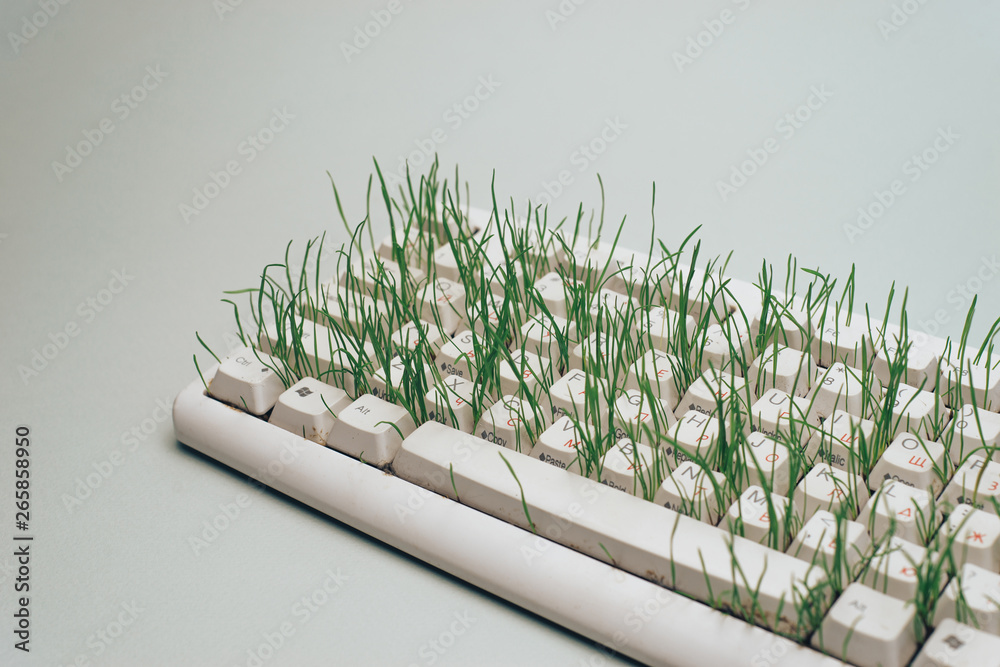 Poster old keyboard overgrown with grass on a gray background. green world concept.