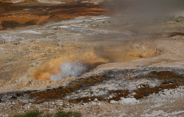 Yellowstone