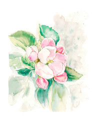 apple tree with pink flowers with green leaves