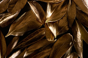 top view of gold shiny metal decorative leaves isolated on black