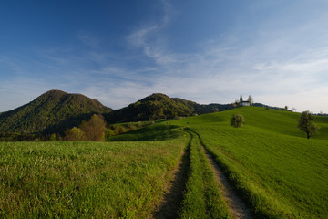 Obraz premium St.Tomas church near Skofja Loka in sunest with spring grass