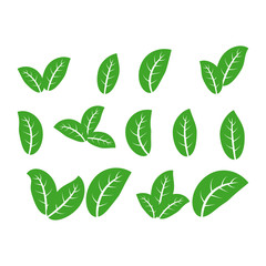 green leaf icons set on white background