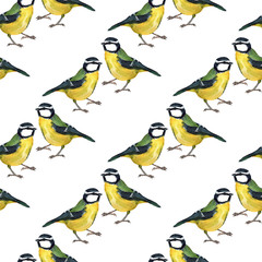Seamless pattern with tomtits
