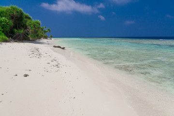 Maldives,  tropical sea background