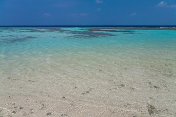 Maldives,  tropical sea background