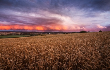 spannender Wolkenhimmel im Sonnenuntergang &uuml;ber Feld