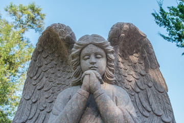 Obraz premium Angel statue in garden