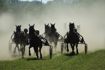 course de chevaux au trot attelé en france © raymond