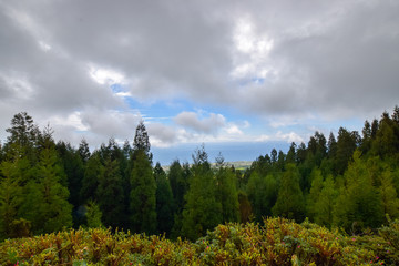 scenery at the azores (sao miguel)