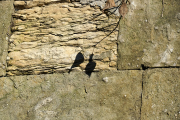 With natural stones in the garden or park artfully bricked