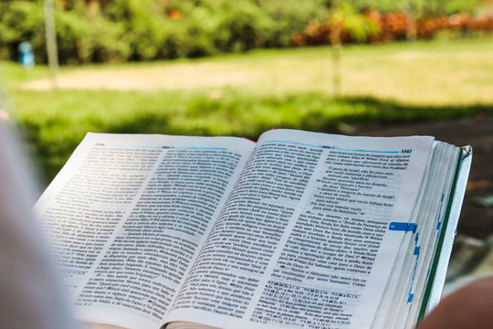 Lendo Livro Aberto Bíblia No Parque