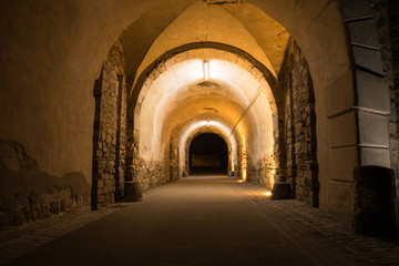 Festung Ehrenbreitstein zur Blauen Stunde 