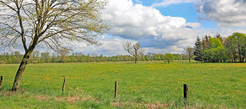 Landschaft im Naturpark Dr&ouml;mling (Sachsen-Anhalt)