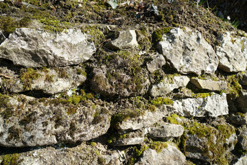 With natural stones in the garden or park artfully bricked