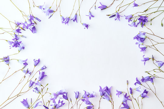 Flat lay composition with blue flowers on a light background