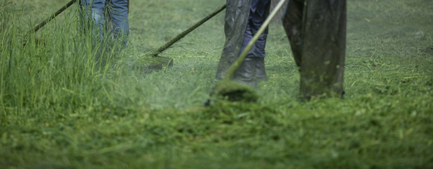 lawnmower with mowing trimmer mows the lawn
