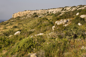 Fototapeta na wymiar Cape Greco National forest park near Ayia Napa. Cyprus