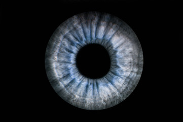 Human blue grey eye iris. Pupil in macro on black background