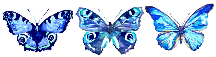 beautiful blue butterfly,watercolor,isolated on a white