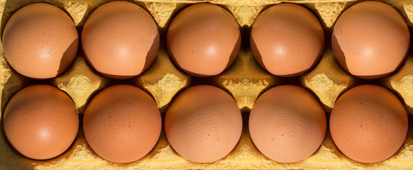 Ten eggs in the package. Top view. Close-up panorama. Tray with eggs