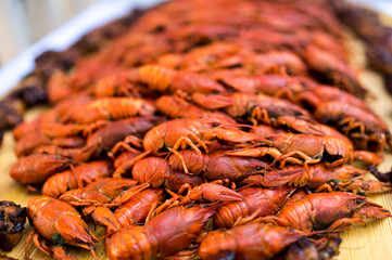 Cancers. Boiled red crawfish. Crawfish ready to eat. Beer snack. Crayfish to beer.