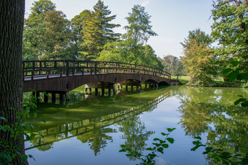 Fototapeta na wymiar bridge over a lake in a green forest park 