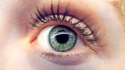 Occhio verde di donna