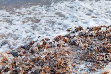 Obraz premium Coastal frozen pebble beach of Baltic sea. Moody wintrer day. Macro view.
