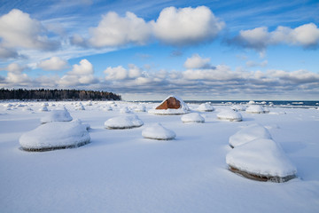 Frozen coast of Baltic sea covered by snow. Boulders, horizon and forest