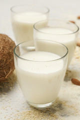 Organic vegan non-dairy plant-based milk